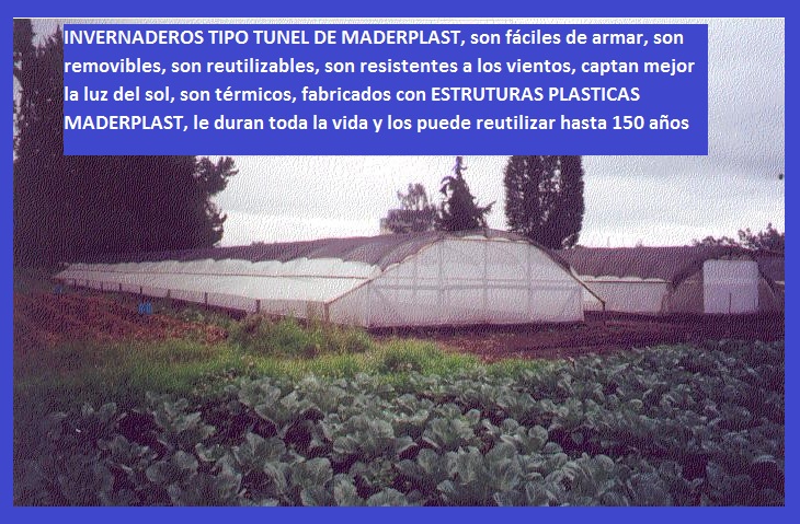 invernadero tipo túnel invernaderos iglú en madera plástica maderplast invernadero de cuarentena invernadero climatización invernadero calentamiento enfriamiento congelación secado congelar 003 invernadero tipo túnel invernaderos iglú en madera plástica maderplast invernadero de cuarentena invernadero climatización invernadero calentamiento enfriamiento congelación secado congelar 003
